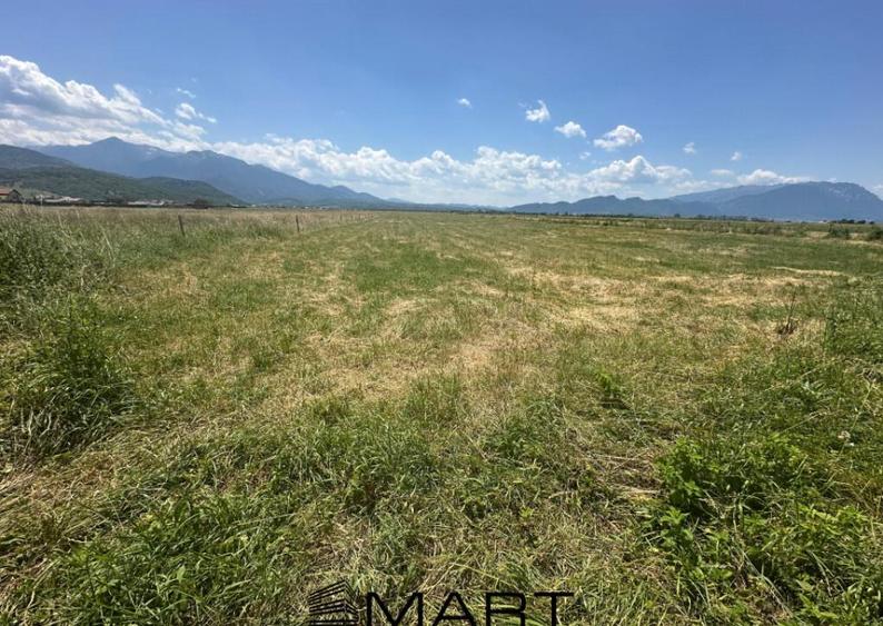 Teren Intravilan Rasnov 7.500 mp - 5