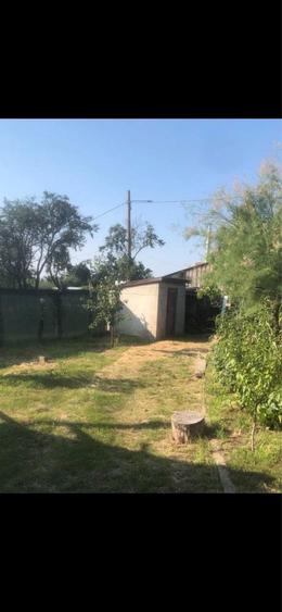 Casa de vanzare cu vie - 1