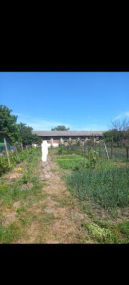 Casa batraneasca nelocuibila cu teren 730mp Olari, Prahova - 1