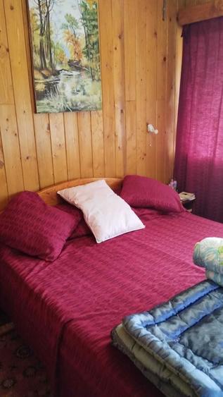 Cabana Valisoara, jud. Hunedoara de Vanzare - 4