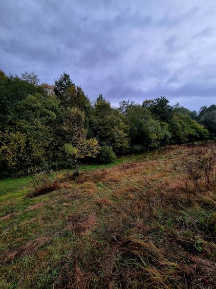 Comision 0%, teren extravilan 12497 mp Sinca Noua - 18