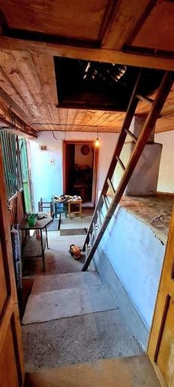 CASA CU TEREN 992 MP | SAT  SUPLACU DE TINCA | BIHOR - 12