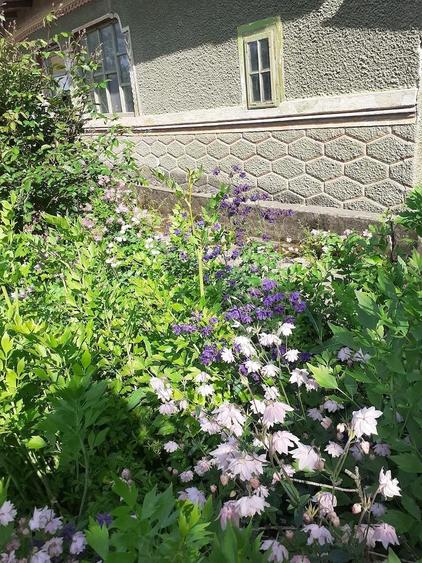 Casa de vanzare maia jude?ul lalomita - 2