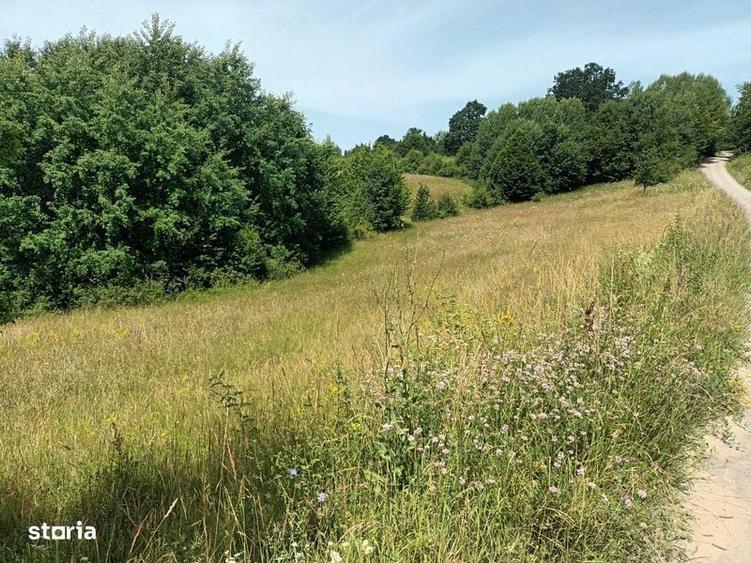 Teren in Capet, Sovata 2500mp - 1