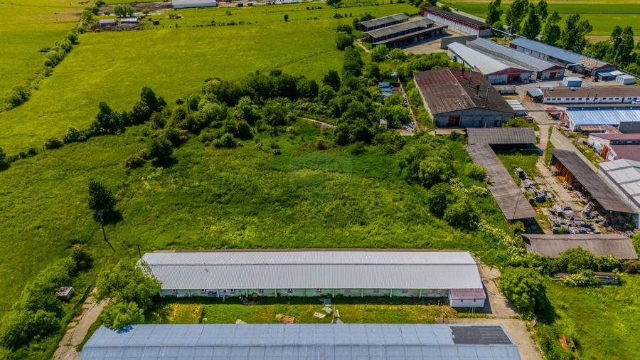 Închiriez Teren Industrial 9.335 mp – Teliu, Brașov (DN10) – Acces TIR - 5