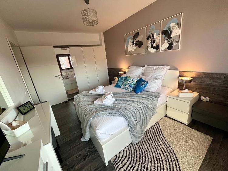 Ultracentral Spatios cu Vedere Superba - 8