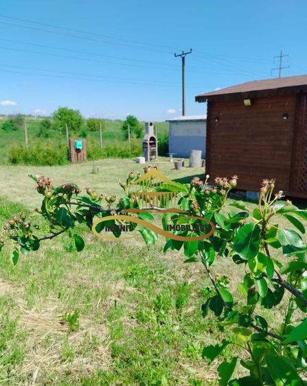 Teren cu Zona Intravilana, Bacau-Lilieci, 1200 mp - 2