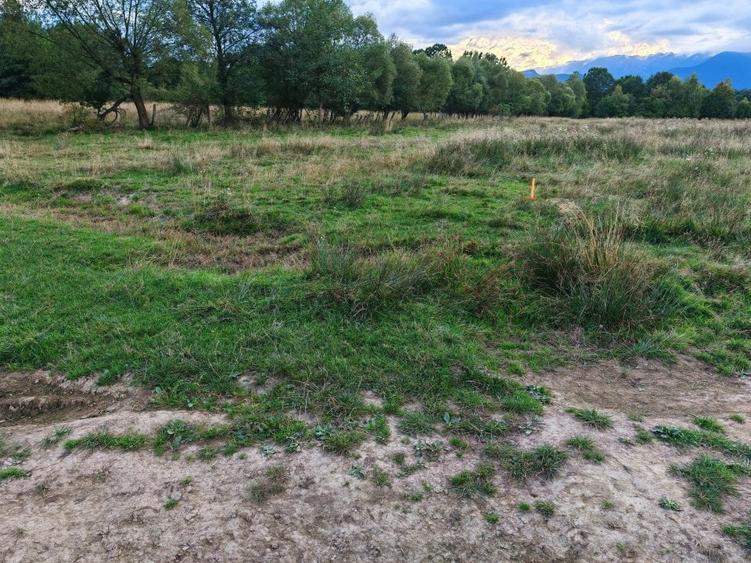 Teren rezidential RASNOV - Glajerie - 8