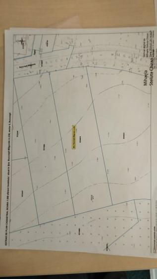 Se inchiriaza teren 5.000 mp in zona Magurele Sector 5 pentru 5.000 EURO - 8