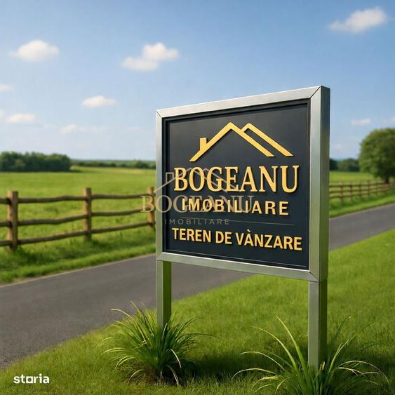 BG136-Teren Agricol 53 ha comasat-DJ 593A-Jud.Timis Peciu Nou - 2