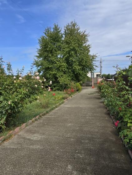 Vila ta in mijlocul naturii | Caciulesti, dotari moderne - 10