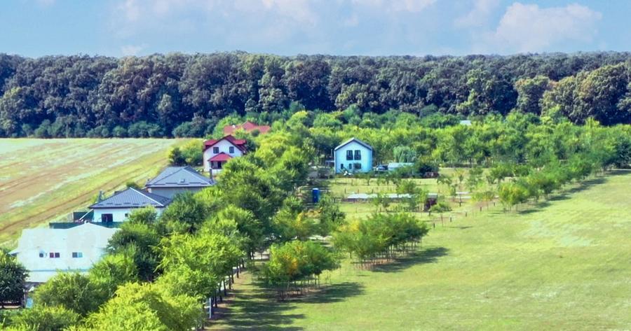 Ilfov, teren premium la Codrii Vlasiei comunitate privata vecini milionari - 2