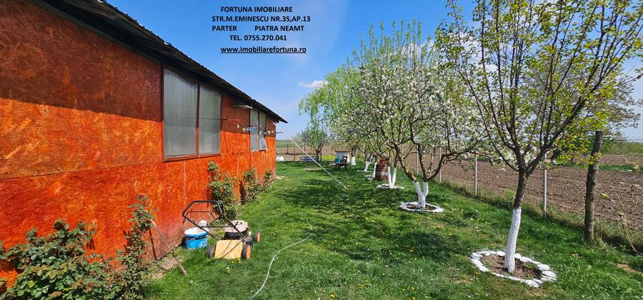 Proprietate Slobozia-Roznov, casa mansardata, teren si livada - 18