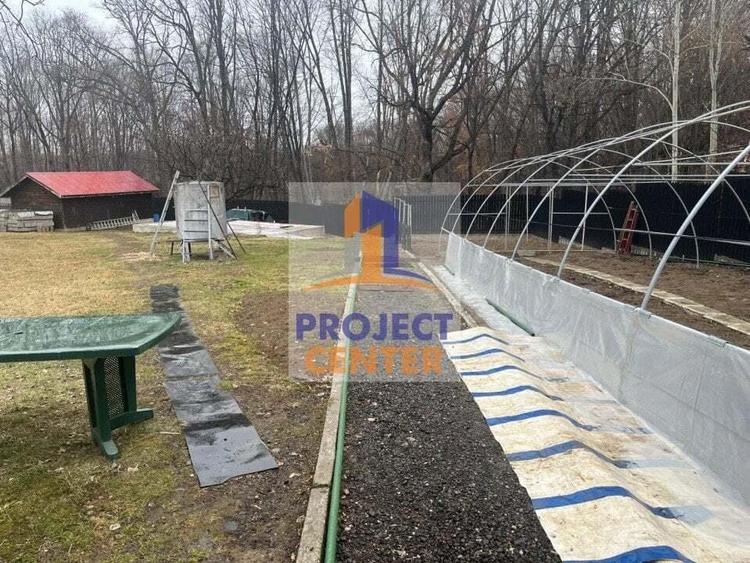 Proprietate de vanzare, zona Cotmeana - 14