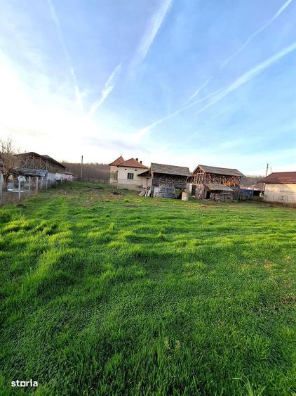 4.443 mp pozitionati direct la DJ678A, cu 39,57 m front stradal . - 3