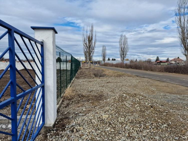 Ciolpani adiacent  DN1 parcele  teren 500 mp toate utilitati gard - 1