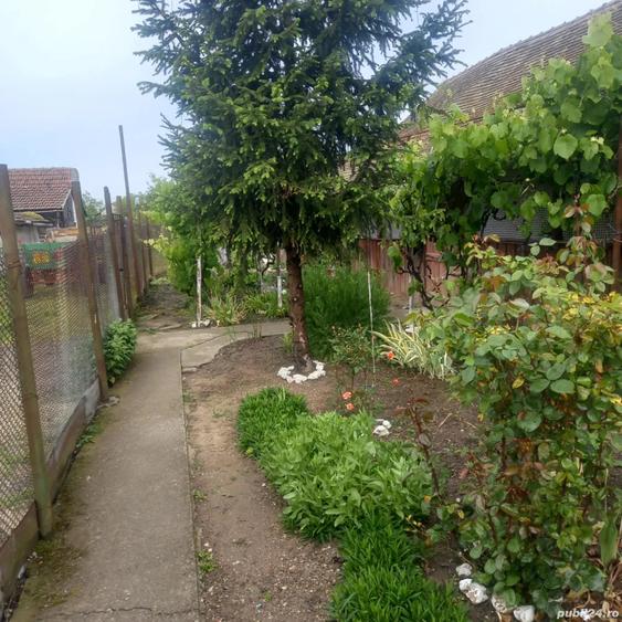 Vand Casa Tormac - 5