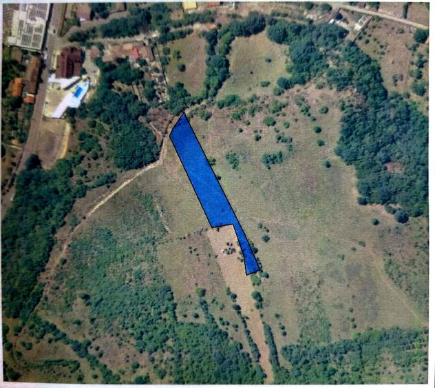 Teren de vanzare Baile Herculane 2877 m2 - 3