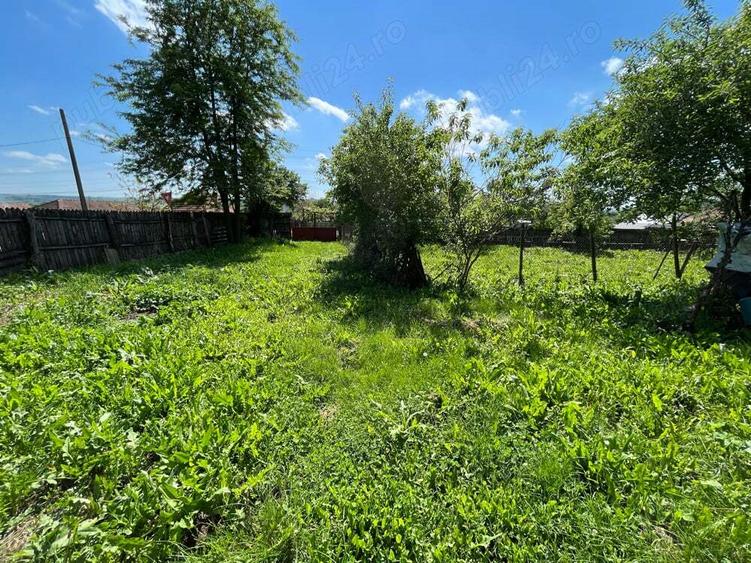 Casa la Ciovarnasani 3600mp - 10