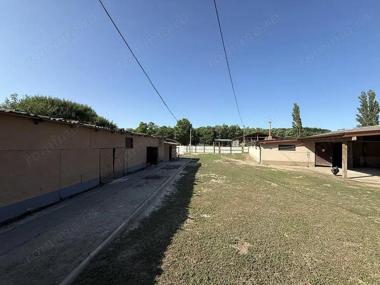 Catun Ferma autorizata Tip A pentru cresterea porcilor - IMOBIHOR - 9