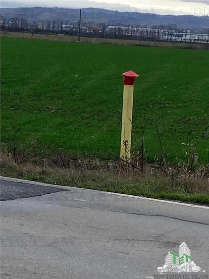 Teren Extravilan in Prahova - 2