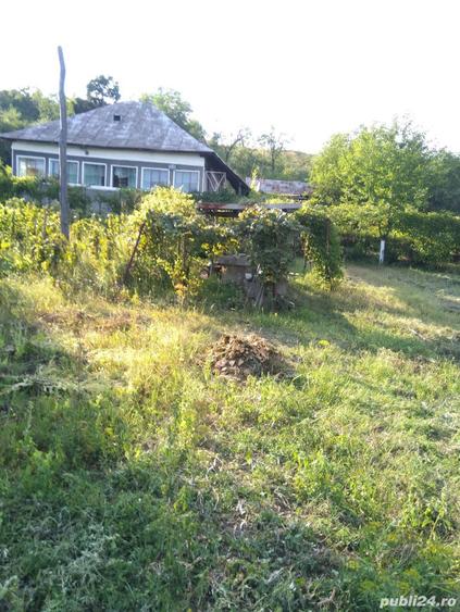 Casa de vanzare + teren si padure, Comuna Dumbrava de Jos, Sat Higiu - 5