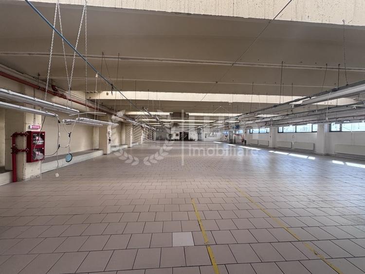 Spatiu industrial 3290 mp | 10 parcari | Bulevardul Muncii | Iris - 2