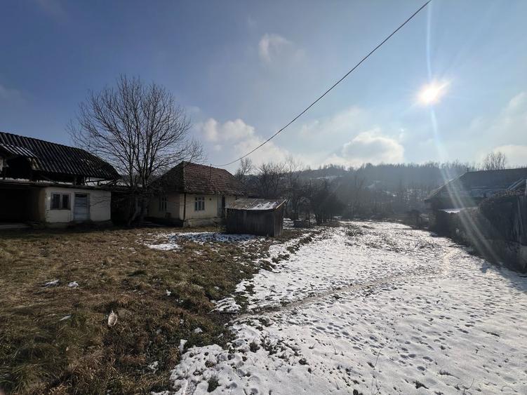 Casa batraneasca - curte si gradina 1924 mp + 2100 livada - 7