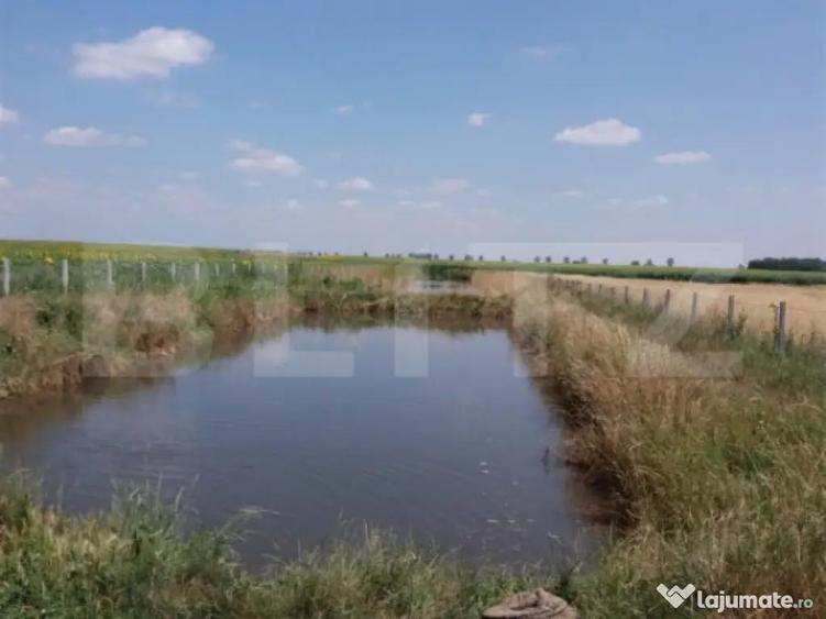 Casa pe parter 50mp utili + teren 4700mp, Bailesti - 6