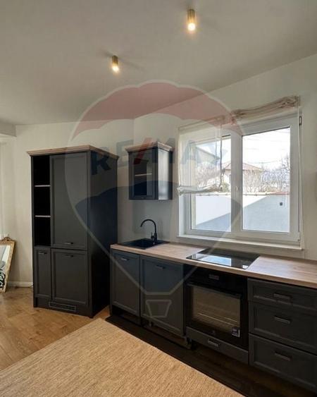 Vilă exclusivistă de închiriat în Andrei Mureșanu - 2