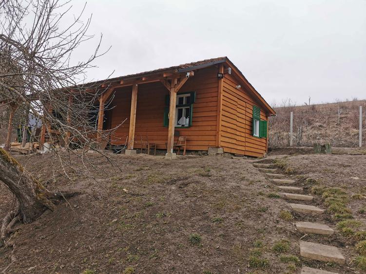 De Vanzare Casuta la Tara - 6