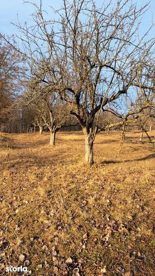 Teren de poveste 2920 mp in Suici, Arges. - 1
