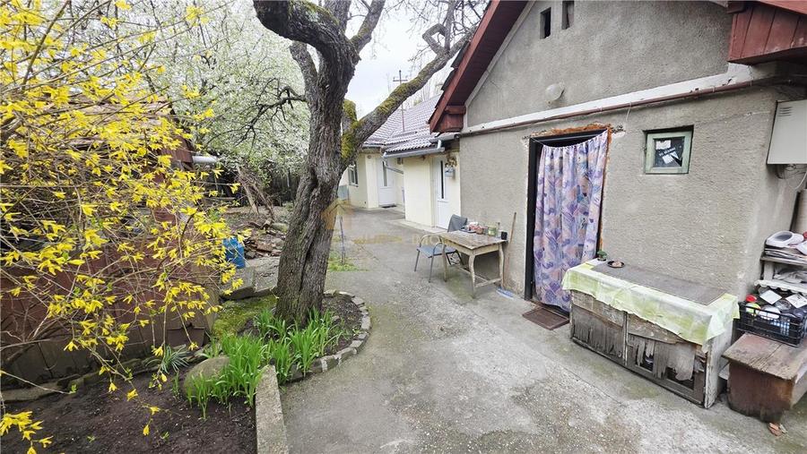 CASA 136 MP TEREN 561 MP FRONT 14 ML ZORILOR  MARINESCU - 3