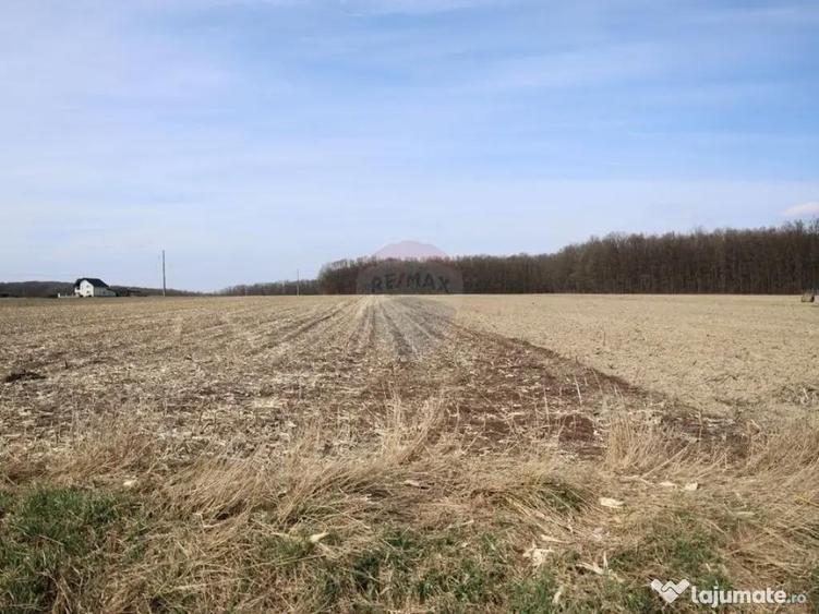 Teren 9,740mp Suceava / Strada Principala - 6