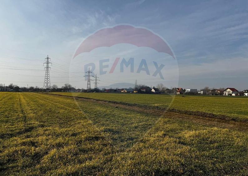 Teren 4,000mp Balotesti / Strada Rozelor - 5