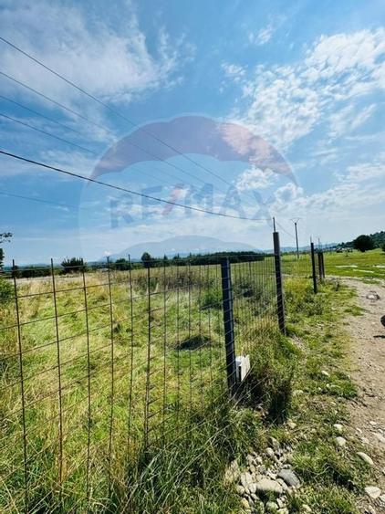 Teren 1,042mp Sarasau / Strada Sarasau - 5