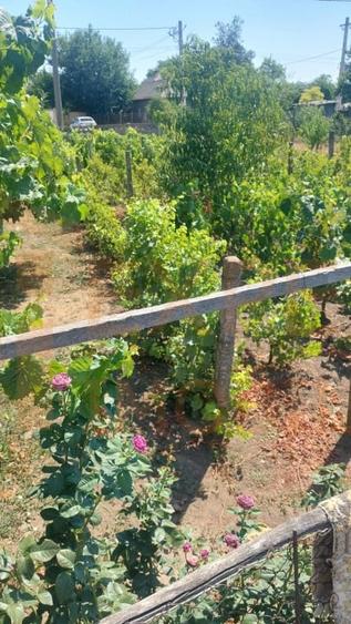 Casa situata in zona Cobadin, COMISION 0% - 2