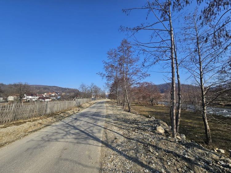 Teren 2500 mp în natură, Valea Bratia, priveliște spre munți - 3