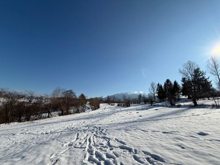 Teren intravilan zona Bran-Tohanita,judetul Brasov loturi intre 500 si 1000 m - 6