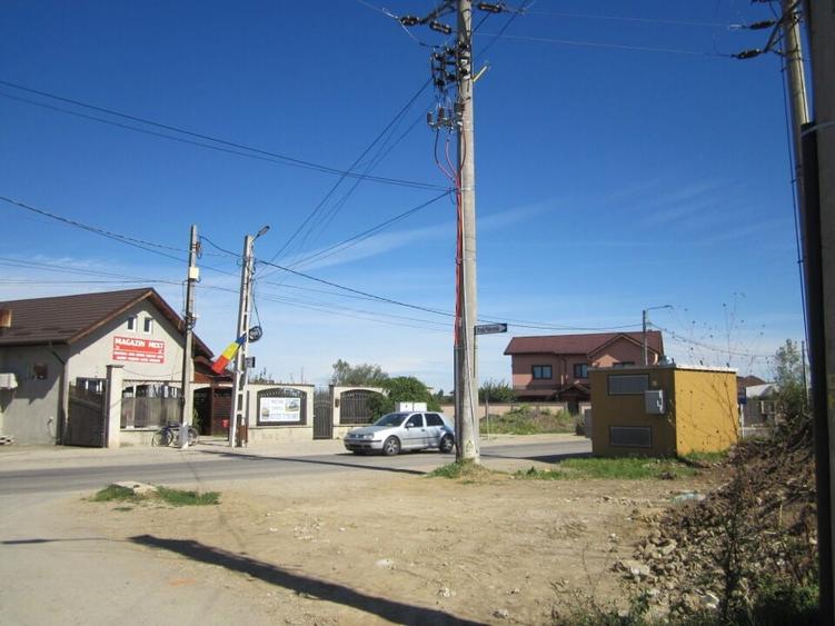 Domnesti Teghes-Padurarului - 3