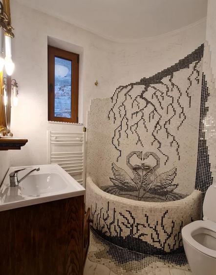 Tineretului ,Carol,Parc,Parter,CENTRLALA PROPRIE,Reabilitat,Utilat,Mobilat,Liber - 4