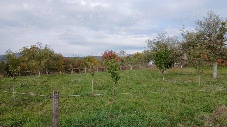 Loc de casa cu livada ?i corp de cladire - 9