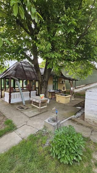 Vand casa familiala sat. Mailat, com.Vinga ! - 4