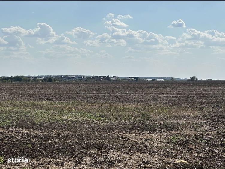 teren Extravilan,Ostratu,SE POATE FACE PUZ - 3