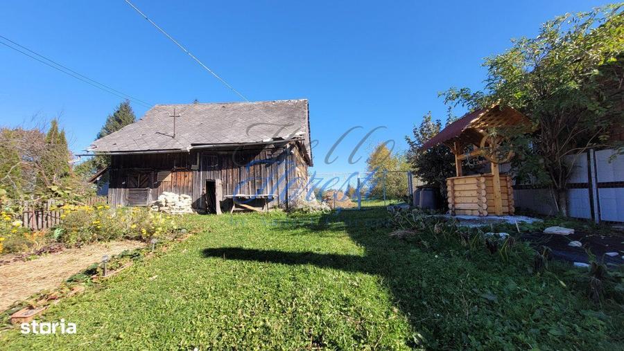 Teren intavilan, 4800 mp, front la strada, utilitati, Rasca - 1