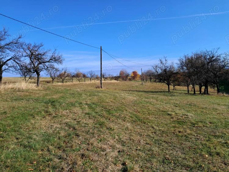 Casa Valea tarnei 8 hectare p mant - 1