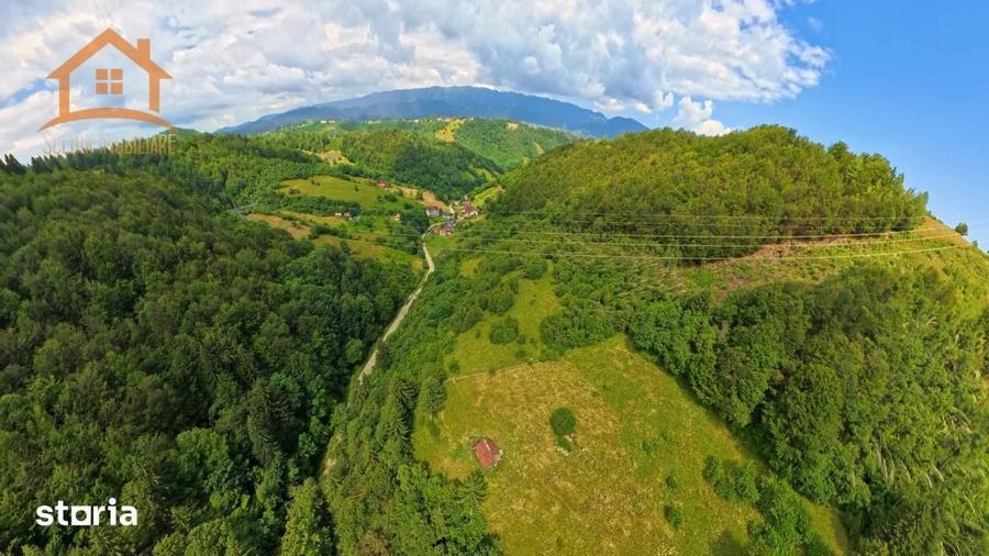 Investitie Smart in Moieciu, 3.1 ha, Panorama 360 Bucegi - Piatra Crai - 17