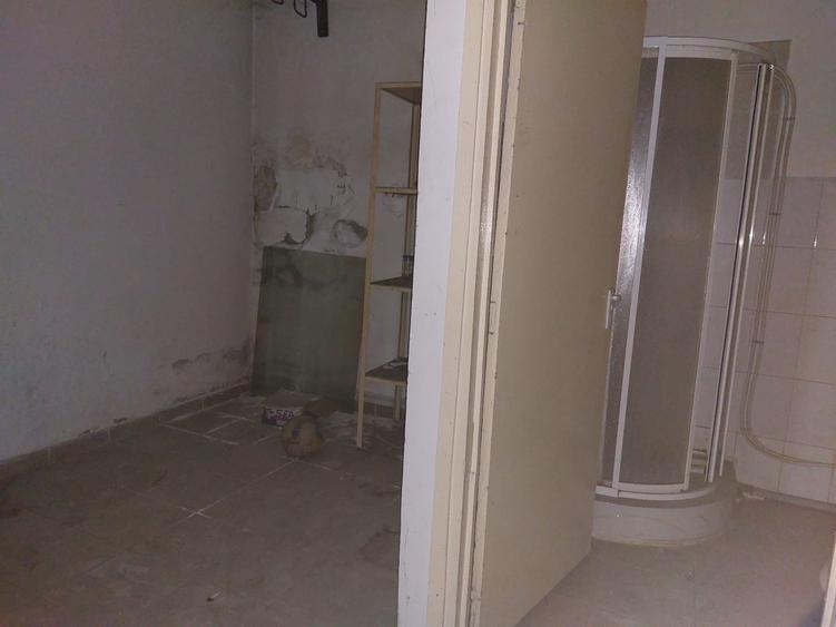 Vanzare/inchiriere stradal,vad auto/pietonal,comercial/birouri - 17