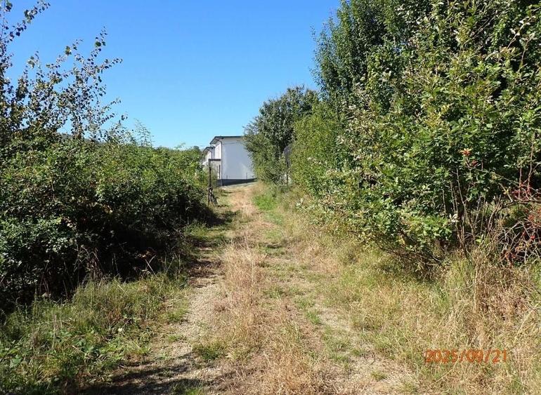Teren Construcții intravilan de 1409 mp, în Cisnădioara