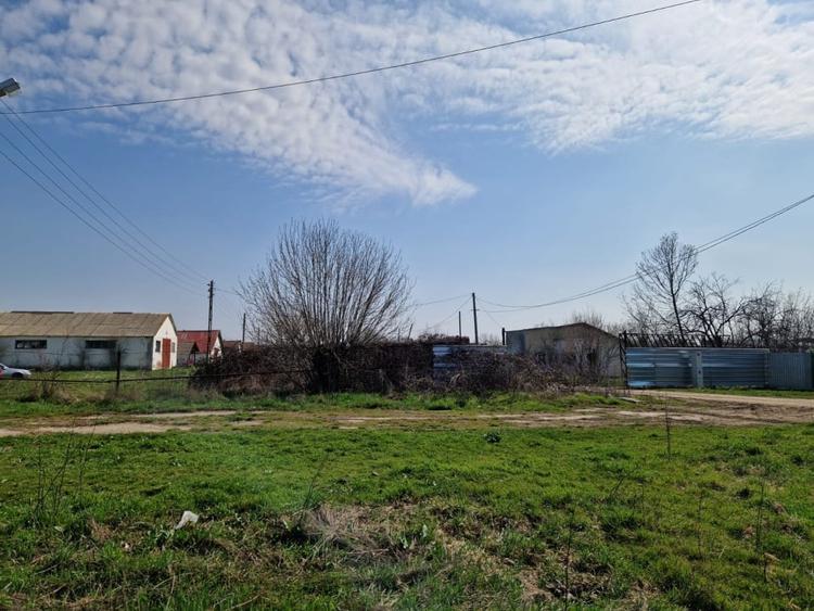 Teren agricol extravilan de 79106 mp, în Exterior Est